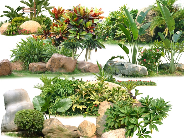 植物植物素材景观植物景石树木乔木 资料附件目录: 石,花组合