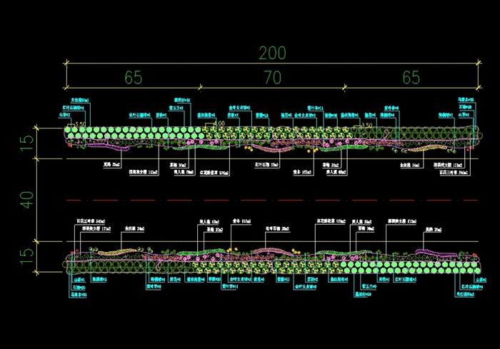 道路绿化标准段设计cad图纸[原创]