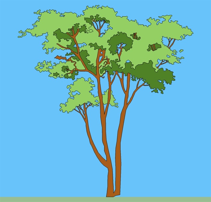 多款2d素材树木su模型(1)