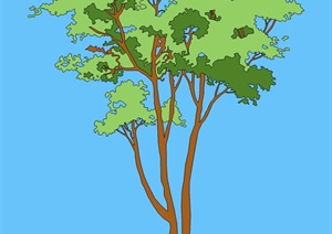 多款2d素材树木SU(草图大师)模型