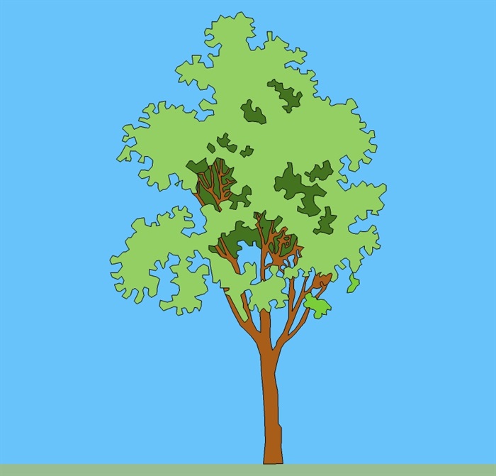 多款2d素材树木su模型(3)