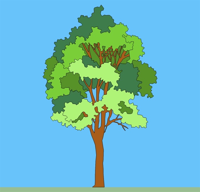 多款2d素材树木su模型(4)