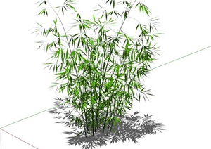 园林竹子植物素材设计SU(草图大师)模型