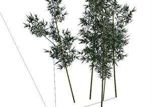 园林景观竹子植物SU(草图大师)模型