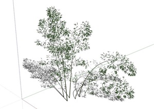 竹子植物设计SU(草图大师)模型