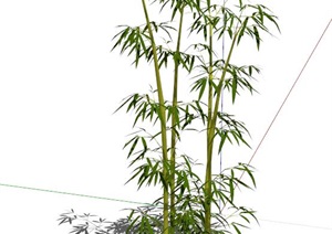 园林景观竹子植物设计SU(草图大师)模型