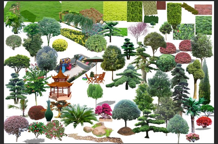 乔木类、灌木、草坪、小品psd素材(1)