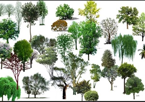 20余种景观植物树木素材psd格式