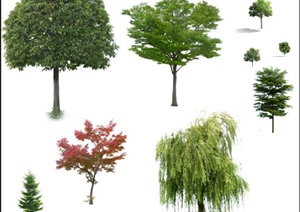 9种景观树木植物素材psd格式