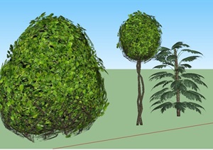 3D绿色植物树SU(草图大师)模型