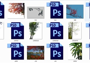 效果图制作常用的前景树素材PSD集合