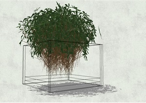 小型灌木球植物SU(草图大师)模型