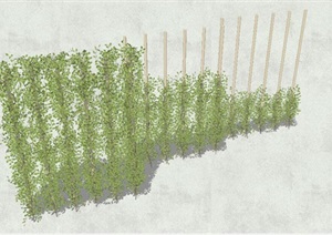 垂直植物背景墙SU(草图大师)模型