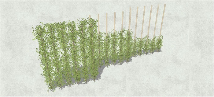 垂直植物背景墙SU模型