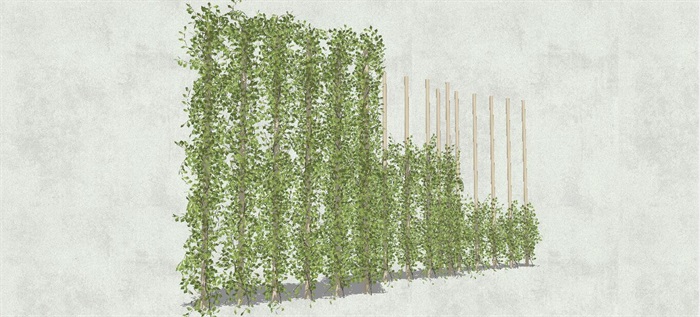 垂直植物背景墙SU模型