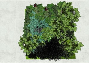 绿色景观植物墙SU(草图大师)模型