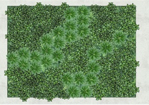 植物背景墙SU(草图大师)模型