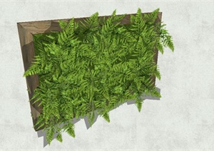 景观植物背景墙SU(草图大师)模型