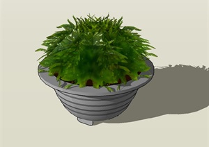 种植器皿盆栽设计SU(草图大师)模型
