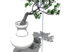 某室内盆栽植物素材设计SU(草图大师)模型
