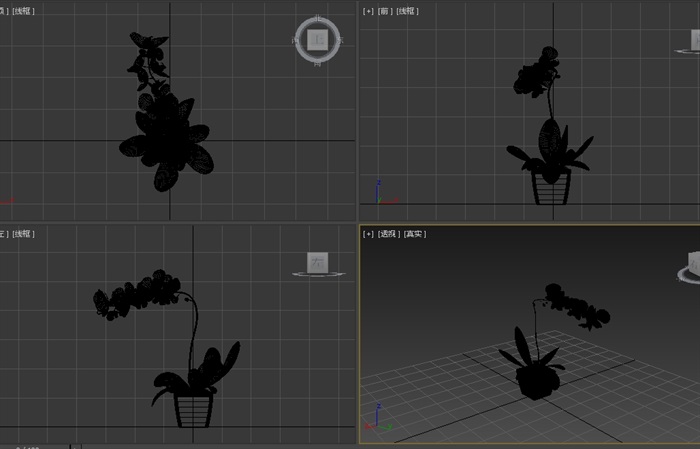 盆栽花卉植物3d模型(2)