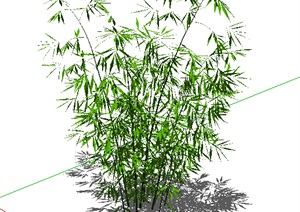 园林景观竹子植物素材设计SU(草图大师)模型