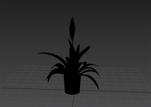 盆栽植物3d模型