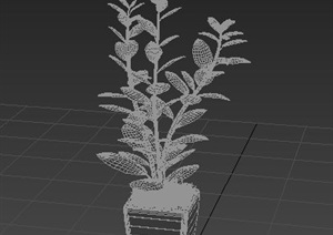 一株盆栽绿植素材3dmax模型