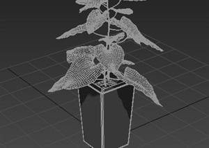 盆栽绿植素材3dmax模型