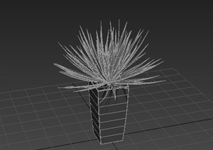 一株植物绿植3dmax模型