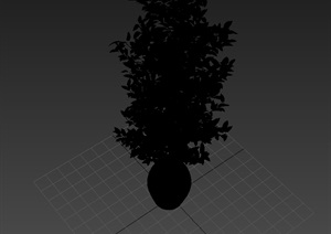 某盆栽详细设计3d模型