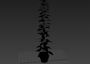 盆栽花卉素材3d模型