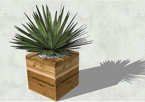 方形木盒植物盆栽模型