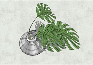 室内盆栽植物SU(草图大师)模型