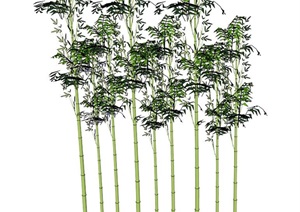 竹子详细植物素材设计SU(草图大师)模型