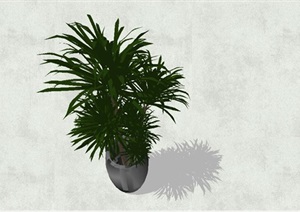 精细绿色热带植物SU(草图大师)模型