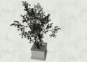 花卉盆栽植物树SU(草图大师)模型
