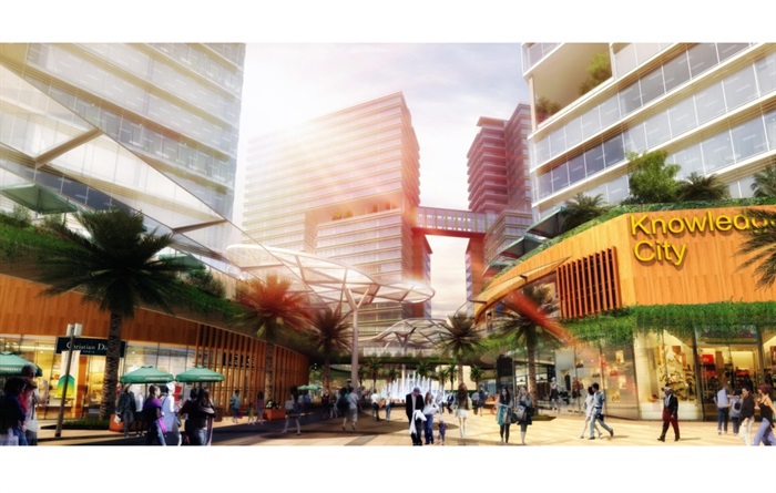 中新广州知识城地块项目商业环境pdf方案(6)