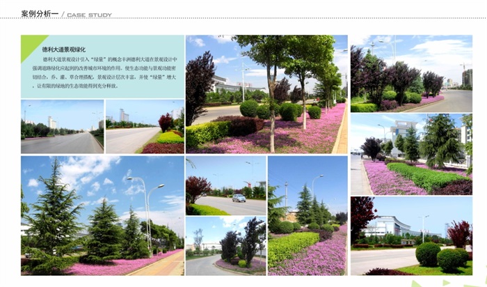 某江南大道道路景观规划设计方案pdf文本(6)