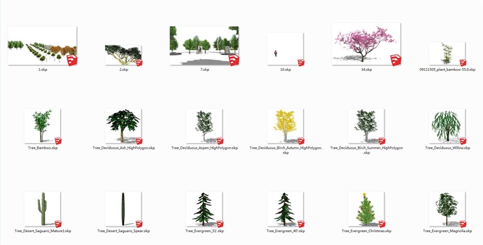 46个不同的树木植被带su模型