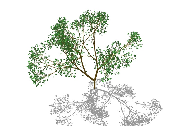 3D树木素材设计su模型(4)