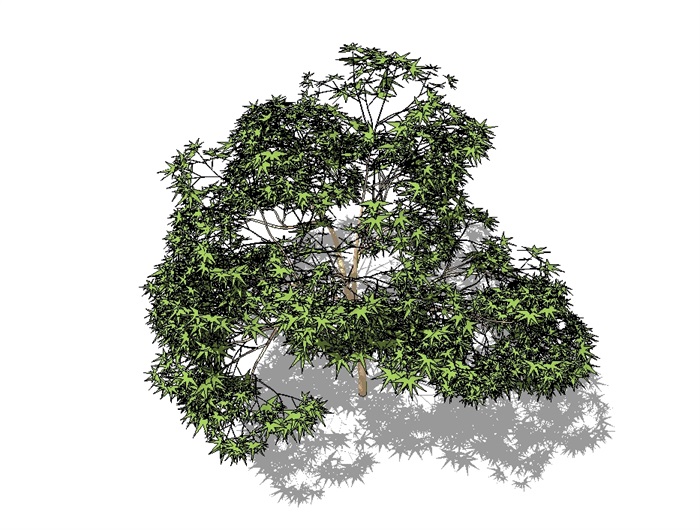 3D树木素材设计su模型(6)