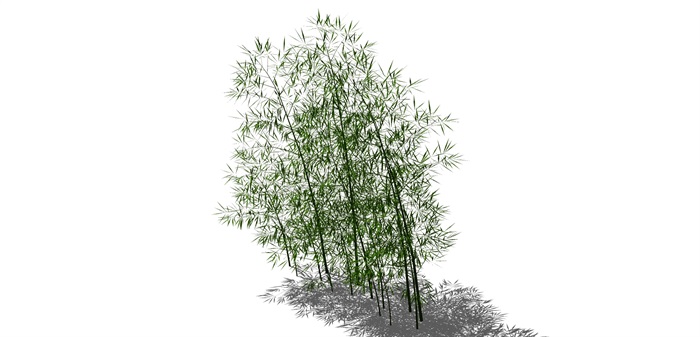 8款不同的竹子su模型