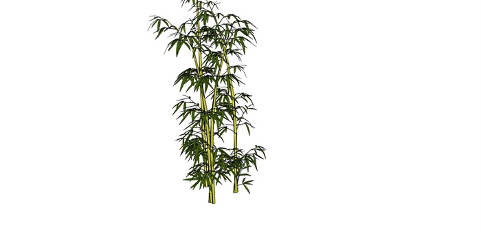 8款不同的竹子su模型