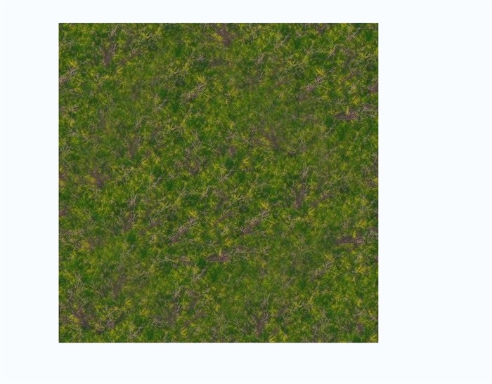 花草地、盲道砖与植草砖贴图(3)