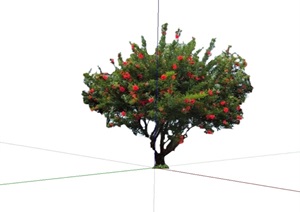 石榴树设计2d模型