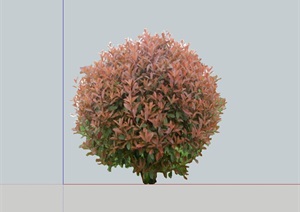 石楠灌木植物设计SU(草图大师)模型