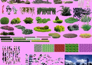效果图配景植物PSD素材