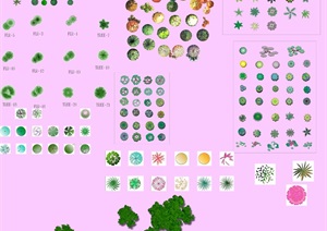 园林植物平面素材彩图PSD格式