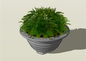 某种植器皿盆栽设计SU(草图大师)模型